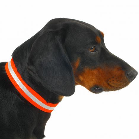 Hunde - Signalhalsung - Klettverschluss 35cm