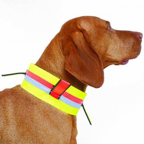 Hunde-Signal-Halsung - Fahnen - Dehnband - 7cm 46cm